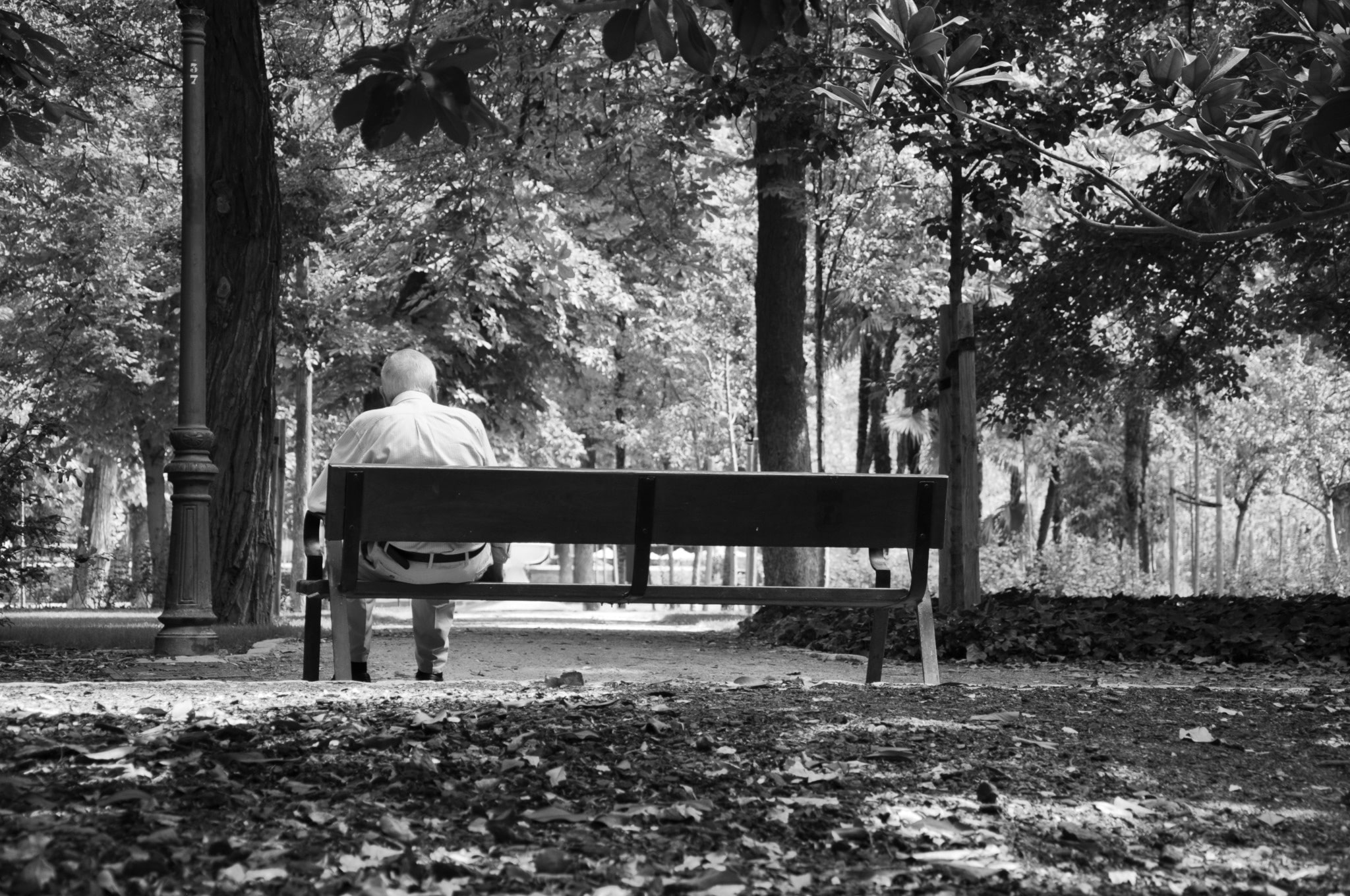 Un vieil homme sur un banc.