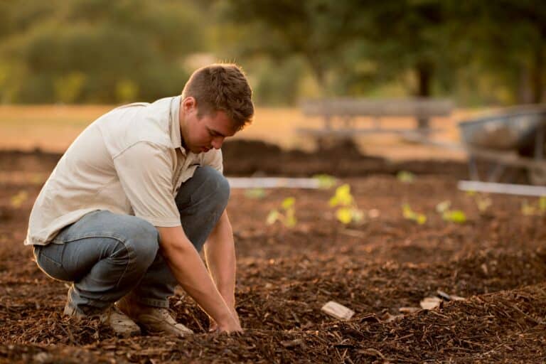 Agriculteur qui plante.